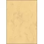 Arkusze papieru artystycznego Sigel DP553 50 arkuszy beżowy 200 g/m²