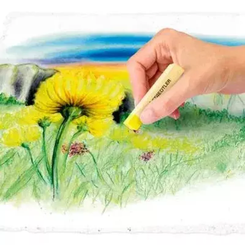 Suchy pastel miękki Staedtler 2430 Wielokolorowy 24 szt.