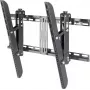 Uchwyt do telewizora SpeaKa Professional SP-3957092 160 cm (63 cale) Czarny