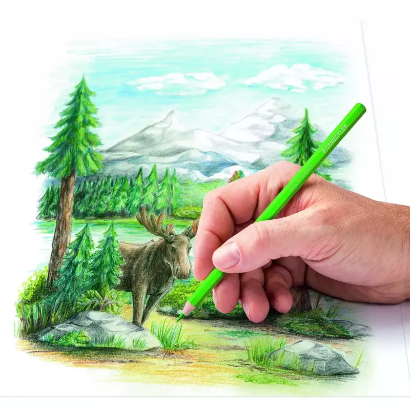 Kredki kolorowe Staedtler 146C wielokolorowe 24 szt.