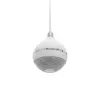 Dwudrożny głośnik Omnitronic 80710421 biały przewodowy 10 W