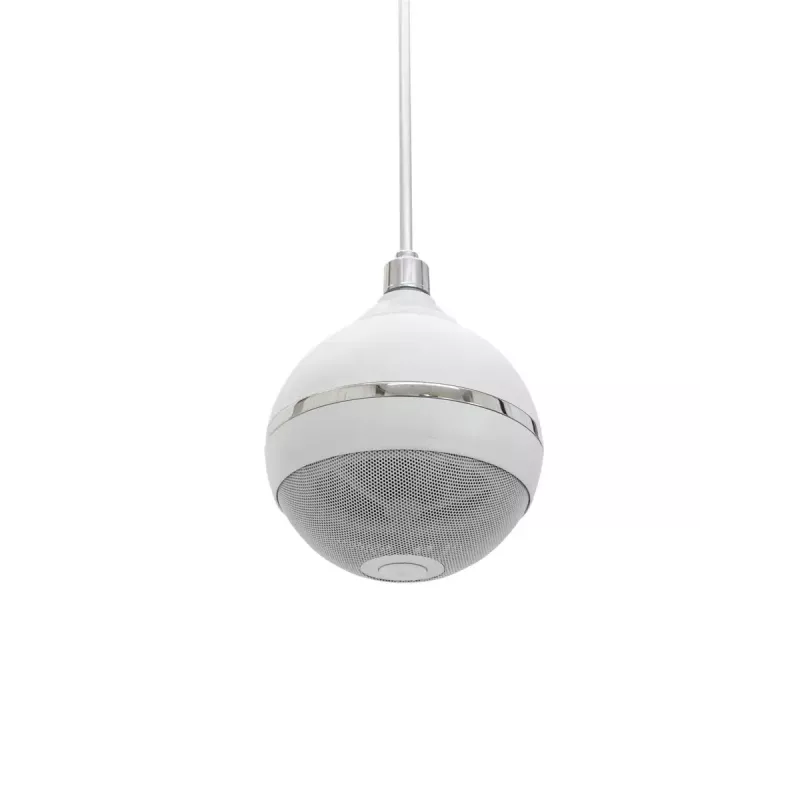 Dwudrożny głośnik Omnitronic 80710421 biały przewodowy 10 W