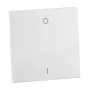 Legrand 765102 pokrywa/płytka maskująca Biała