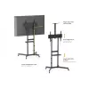 Wózek pod telewizor EQUIP 37 cali–70 cali Economy do ekranów 37–70 cali, udźwig 70 kg, VESA 100x100–600x400, wysokość 1337–1430 mm, pochylenie -10°–5°, czarny