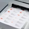Etykieta samoprzylepna Avery L7782-25 Zaokrąglony prostokąt