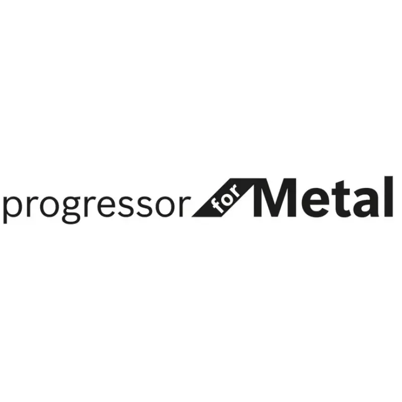 Bosch S 123 XF Progressor for Metal brzeszczoty do pił szablastych