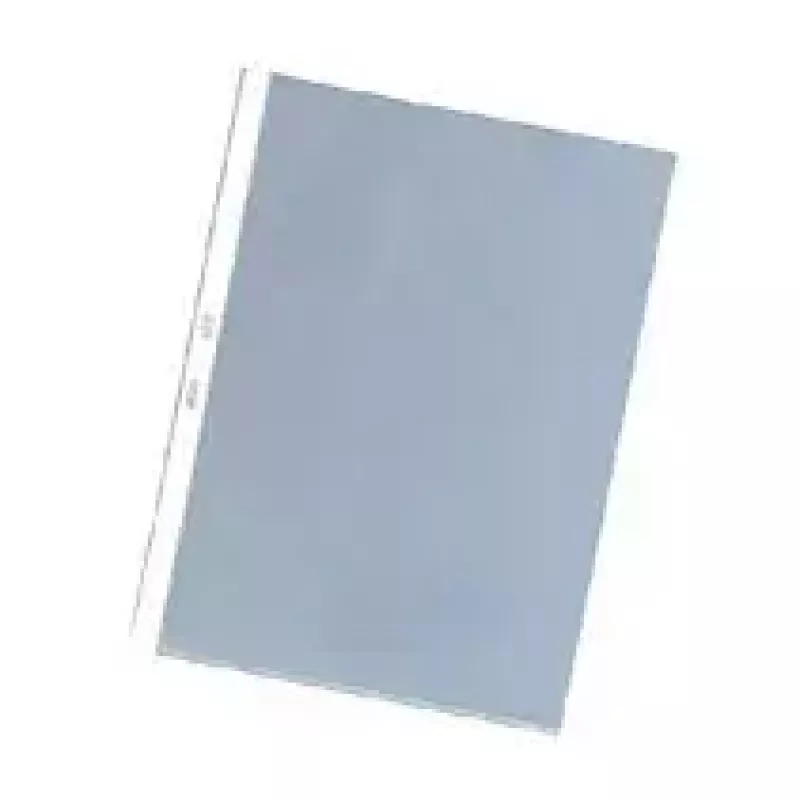 Koszulka na dokumenty Herlitz 05850508 A4