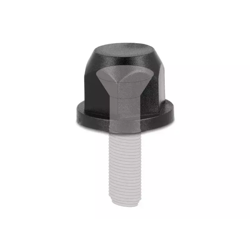 DeLOCK zaślepka ochronna gwintu M12 czarna 2 sztuki Nylon