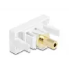 Gniazdo DeLOCK 90843 2 x złącze kablowe 3,5 mm Biały