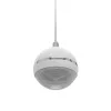 Głośnik 2-drożny Omnitronic 80710429