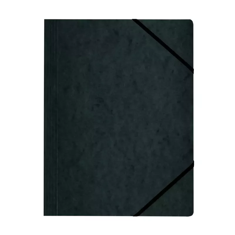 Folder tekturowy różnokolorowy A4 Herlitz 11166816