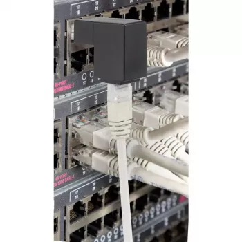 adapter złącza złącza Renkforce RF-4087416