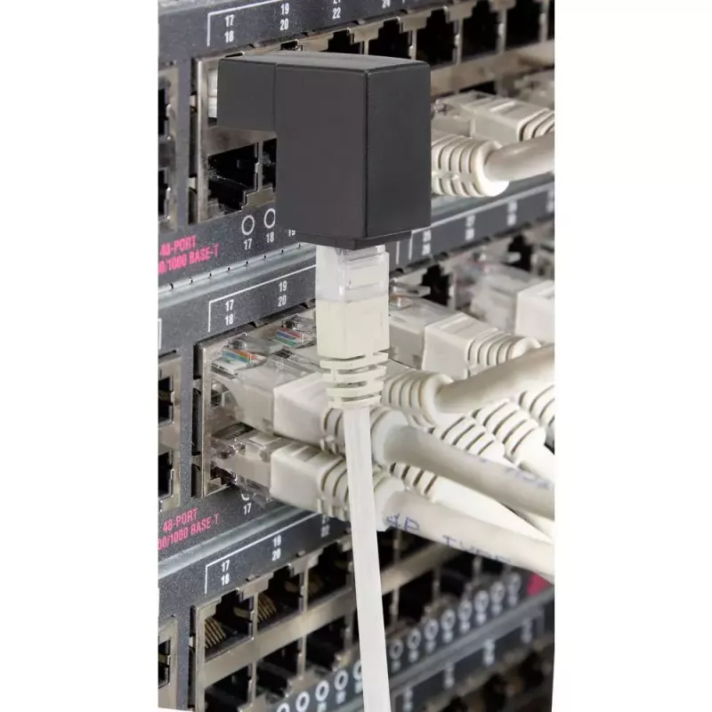 adapter złącza złącza Renkforce RF-4087416