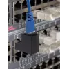 adapter złącza złącza kabla Renkforce RF-4087413