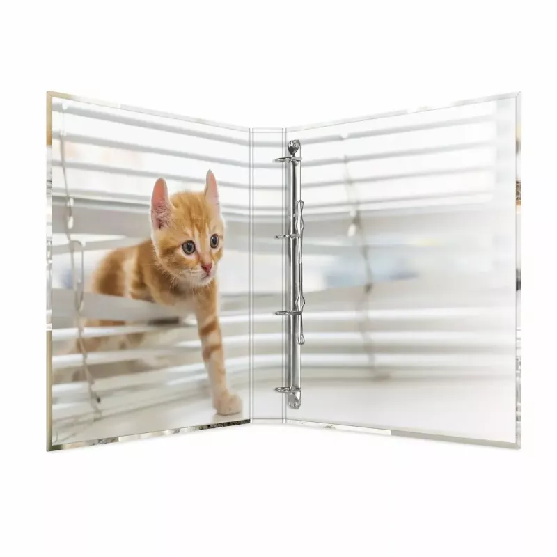 Ring binder HERMA 19359 A4 Multicolour