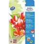Papier fotograficzny Avery C2550-50