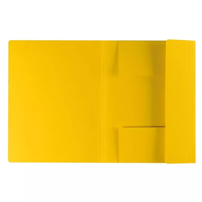 Teczka kartonowa Herlitz 11076437