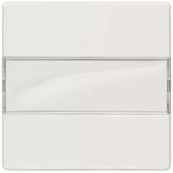 Siemens 5TG6210 płyta ścienna/osłona przełącznika Wielokolorowy