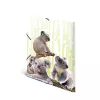 Teczka wizytowa HERMA Koalafamily 19958