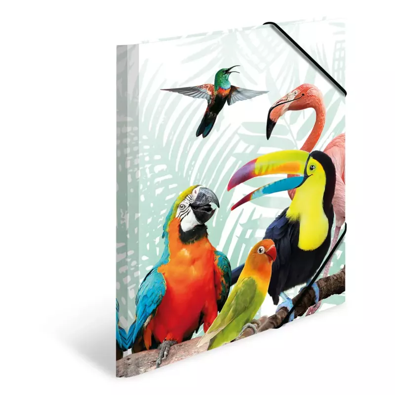 Konwencjonalne przekładane akta HERMA Tropical clique