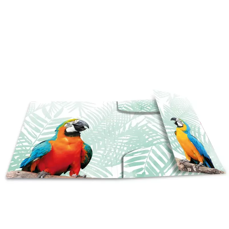 Konwencjonalne przekładane akta HERMA Tropical clique