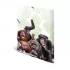 Konwencjonalna teczka na dokumenty HERMA Monkey gang 19960
