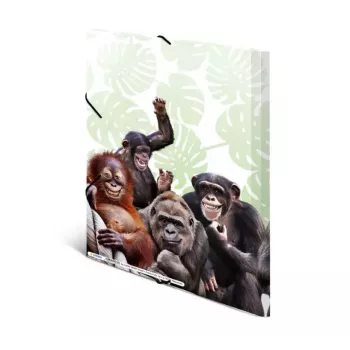 Konwencjonalna teczka na dokumenty HERMA Monkey gang 19960