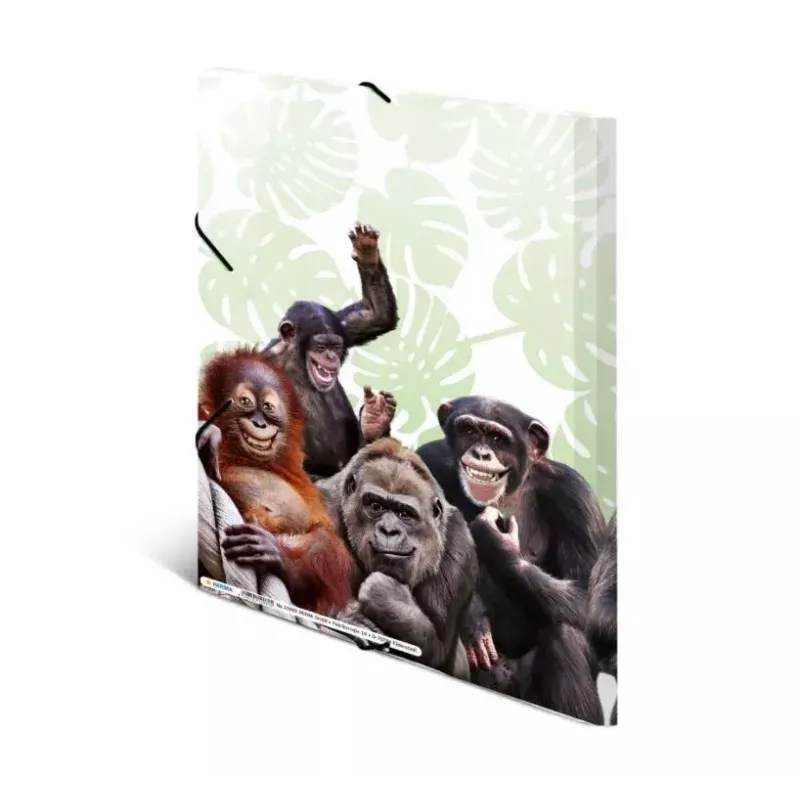 Konwencjonalna teczka na dokumenty HERMA Monkey gang 19960