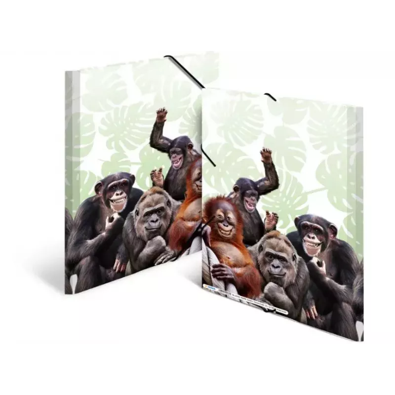 Konwencjonalna teczka na dokumenty HERMA Monkey gang 19960