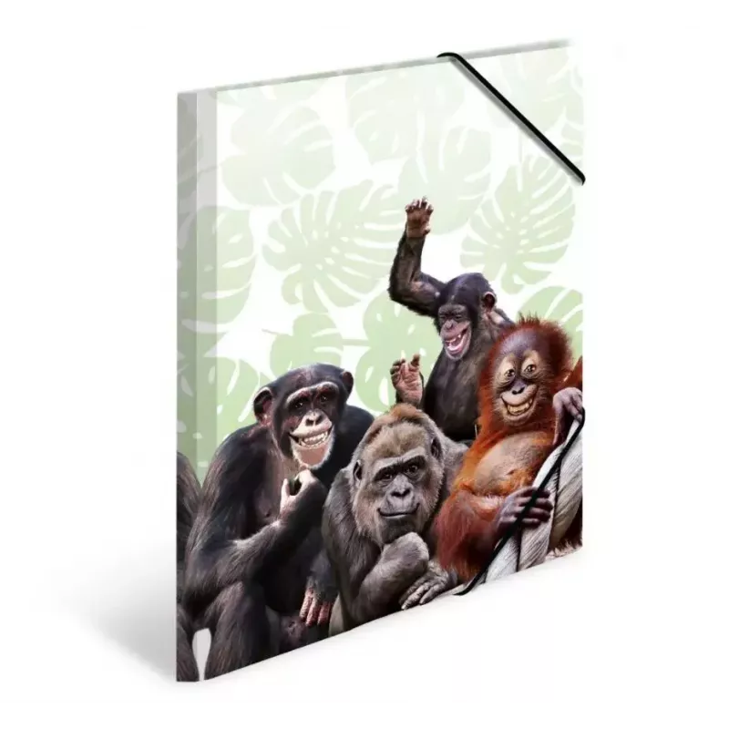 Konwencjonalna teczka na dokumenty HERMA Monkey gang 19960