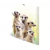 Tradycyjna teczka aktowa HERMA Meerkat troop 19961