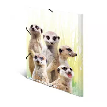 Tradycyjna teczka aktowa HERMA Meerkat troop 19961