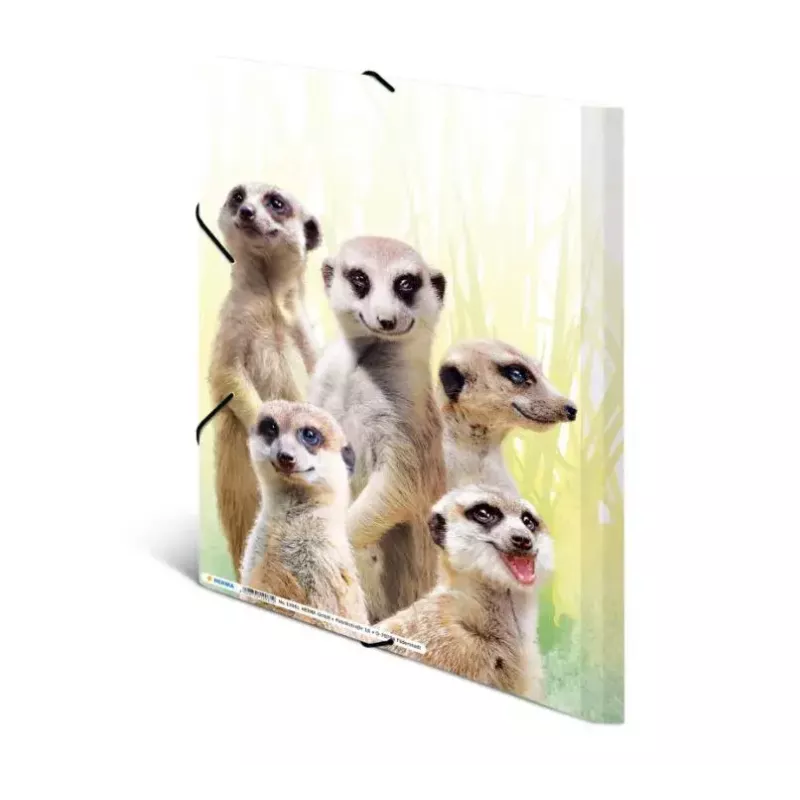 Tradycyjna teczka aktowa HERMA Meerkat troop 19961