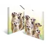 Tradycyjna teczka aktowa HERMA Meerkat troop 19961