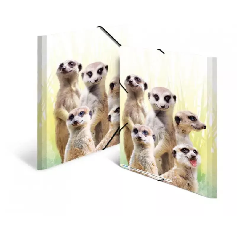 Tradycyjna teczka aktowa HERMA Meerkat troop 19961