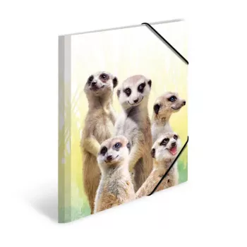 Tradycyjna teczka aktowa HERMA Meerkat troop 19961