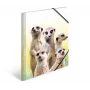 Tradycyjna teczka aktowa HERMA Meerkat troop 19961