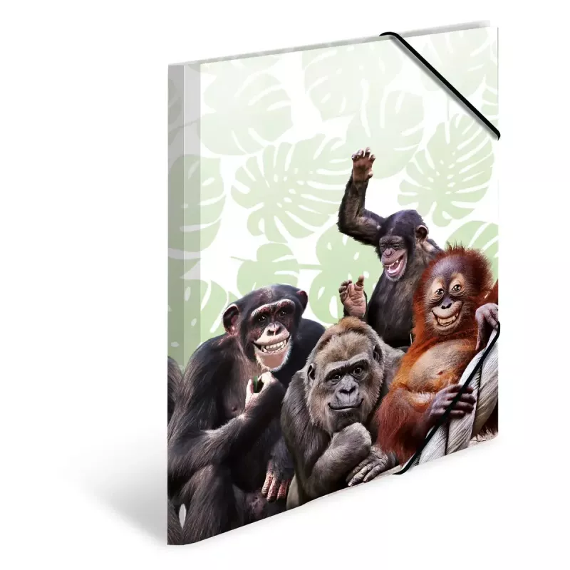Konwencjonalna teczka na dokumenty HERMA Monkey gang Polipropylen A3