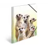 Tradycyjna teczka na dokumenty HERMA Meerkat troop