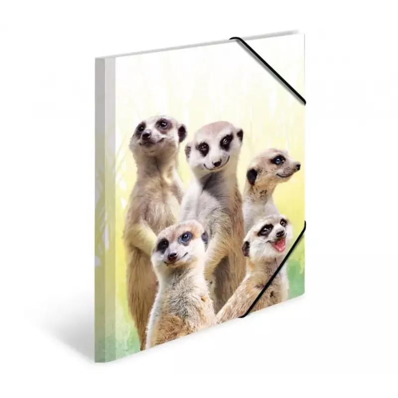Tradycyjna teczka na dokumenty HERMA Meerkat troop