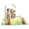 Tradycyjna teczka na dokumenty HERMA Meerkat troop