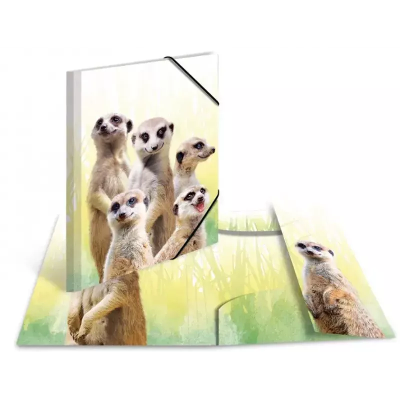 Tradycyjna teczka na dokumenty HERMA Meerkat troop