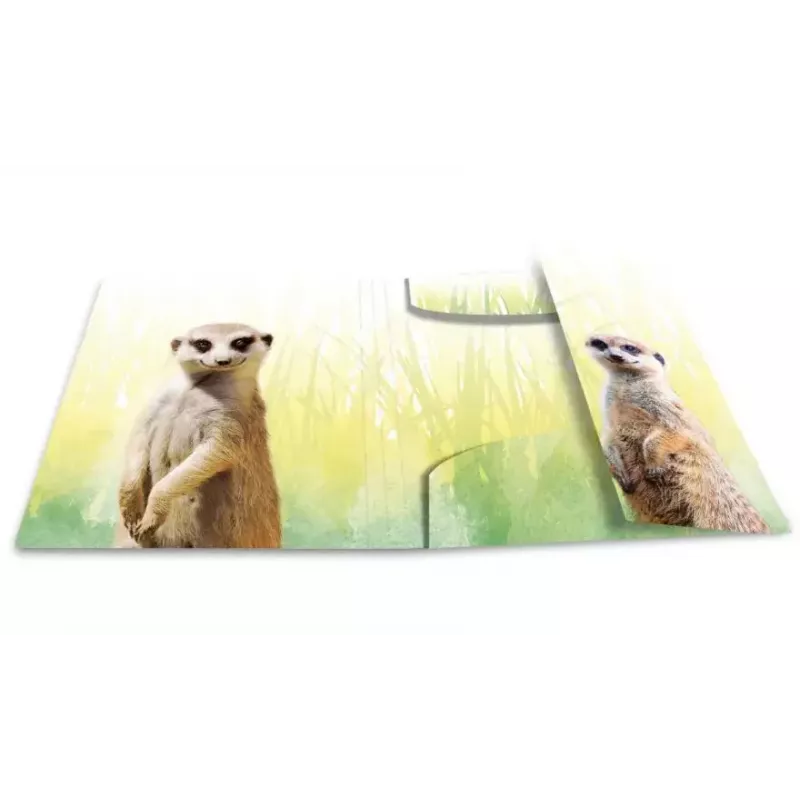 Tradycyjna teczka na dokumenty HERMA Meerkat troop