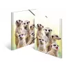 Tradycyjna teczka na dokumenty HERMA Meerkat troop