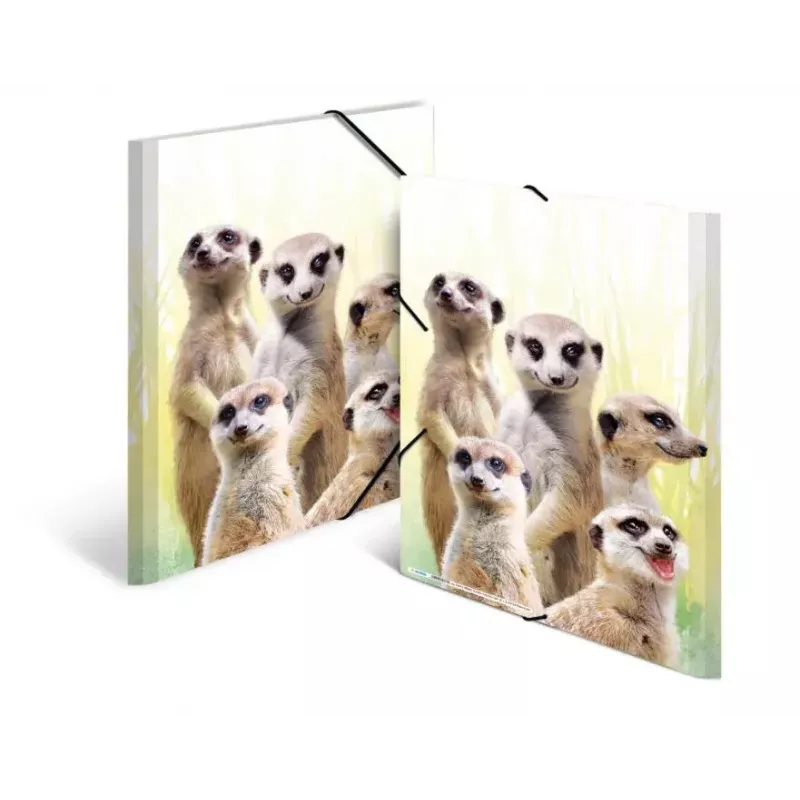 Tradycyjna teczka na dokumenty HERMA Meerkat troop