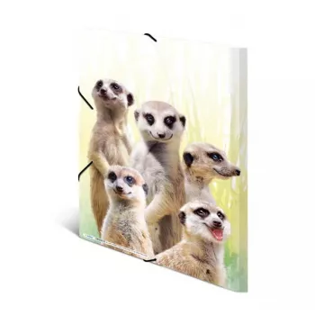 Tradycyjna teczka na dokumenty HERMA Meerkat troop