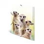 Tradycyjna teczka na dokumenty HERMA Meerkat troop