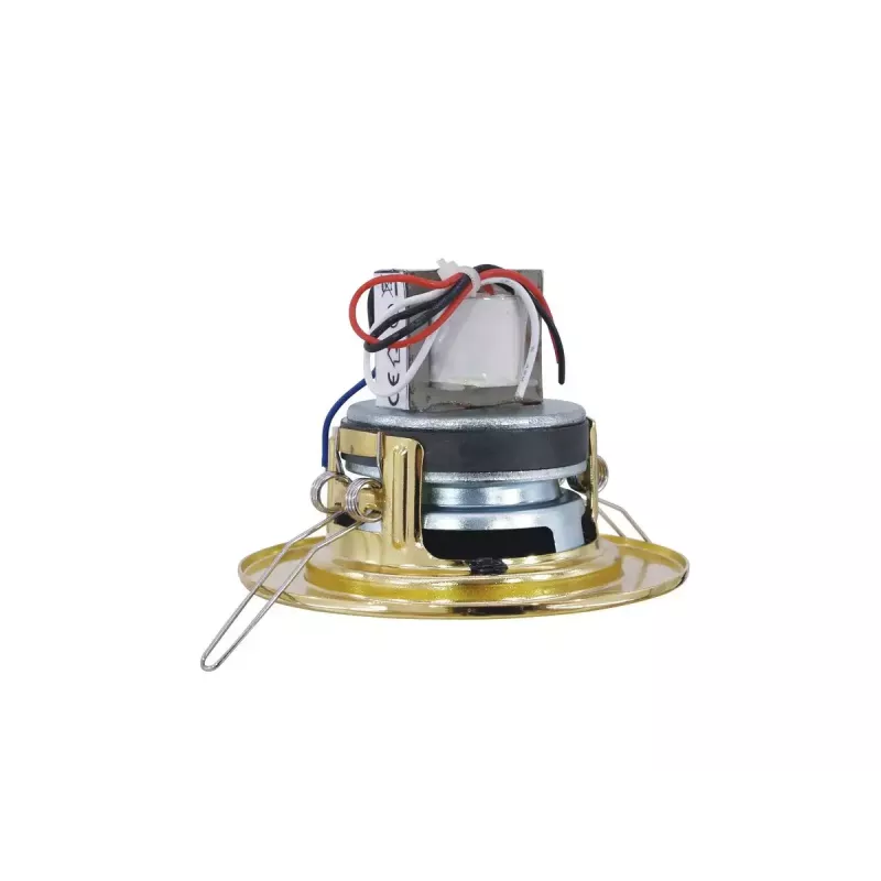 2-drożny głośnik Omnitronic 80710203 Złoty Przewodowy 6 W