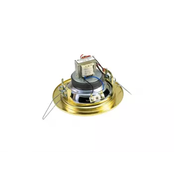 Dwudrożny głośnik Omnitronic 80710207 Złoty Przewodowy 6 W