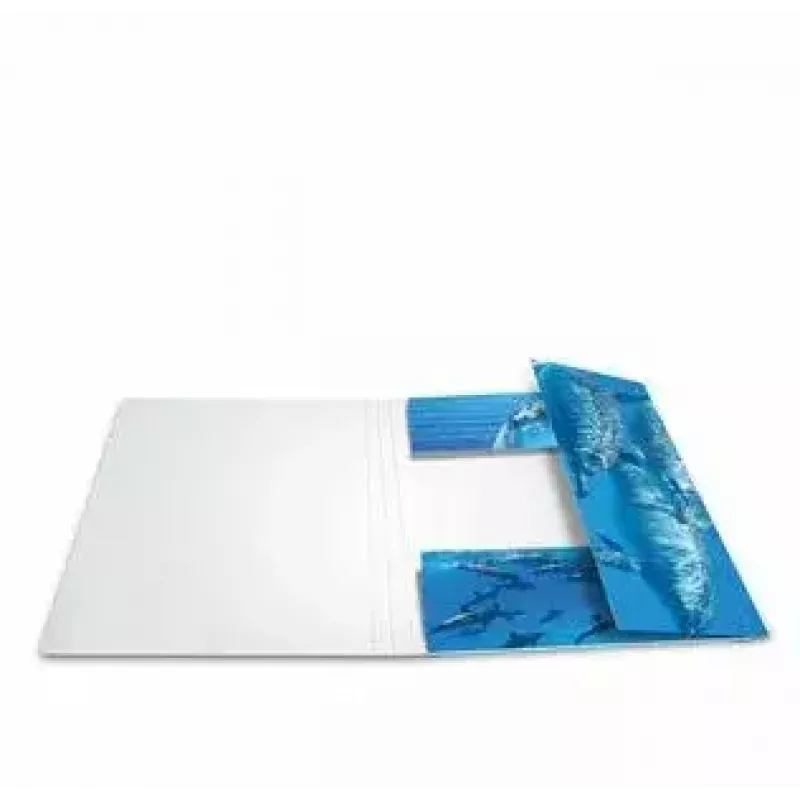 Folder kartonowy HERMA 19221 A3 Wielokolorowy